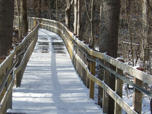 ADA Railing Boardwalk
